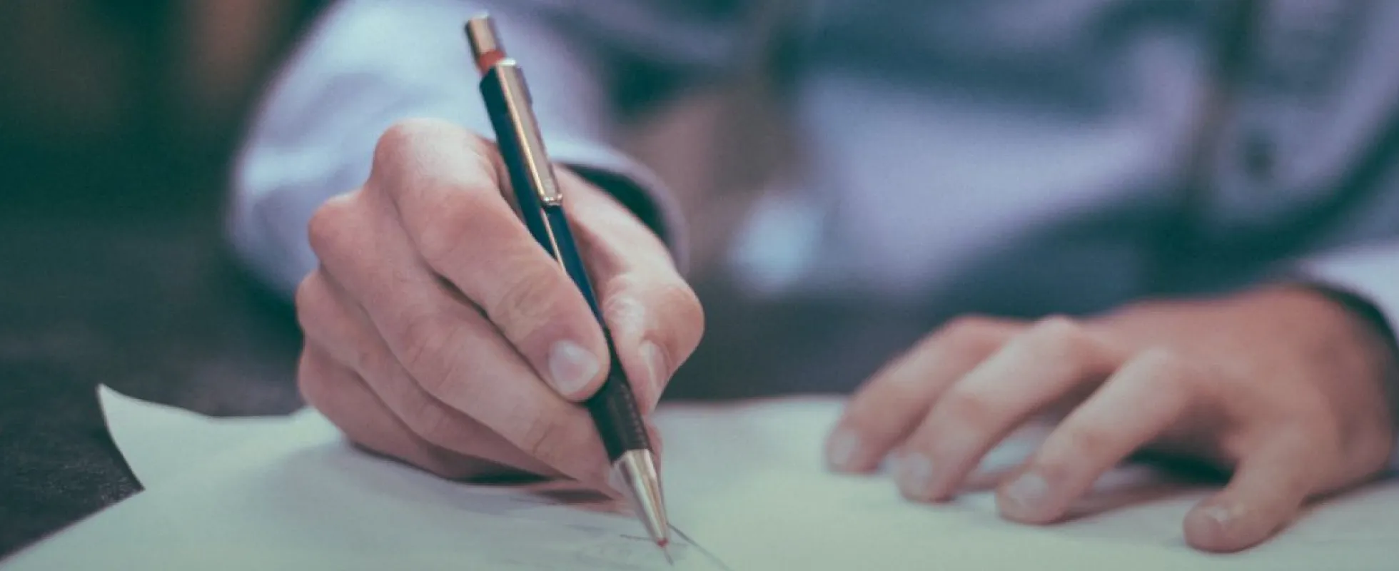 綺麗な花の様子